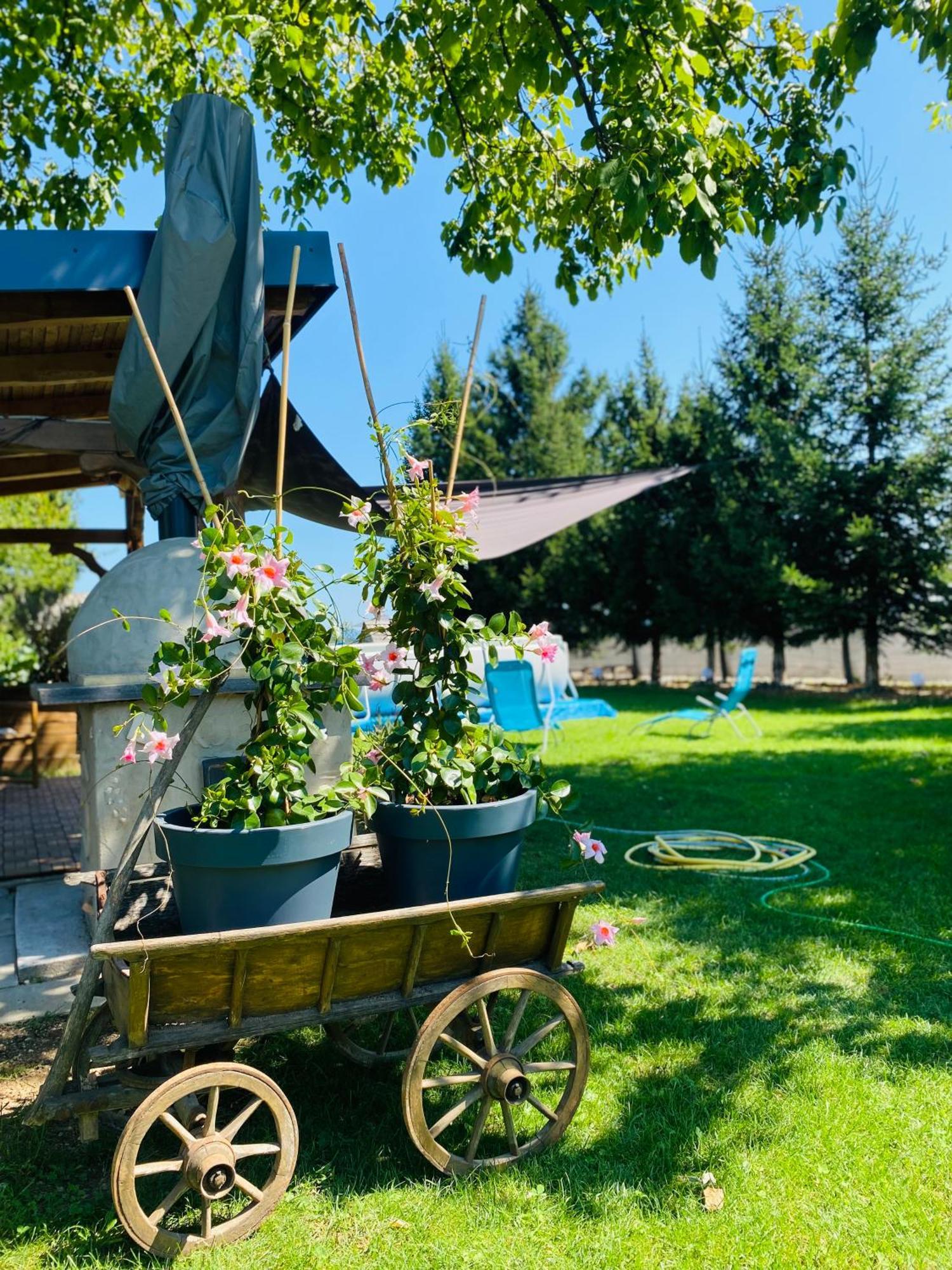 Rooms & Apartment Zala Airport Shuttle Option Церклє-на-Горенськем Екстер'єр фото